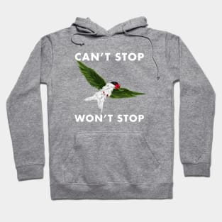 Can't Stop Won't Stop Hoodie